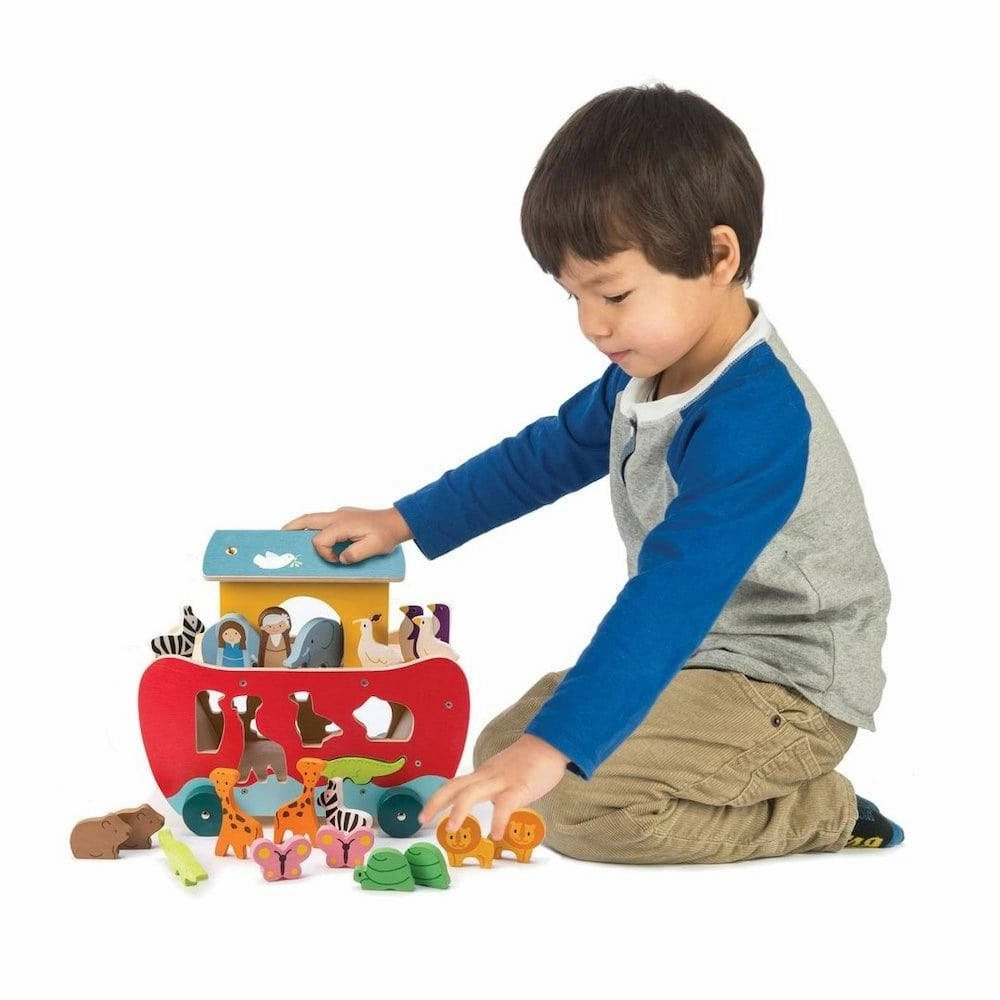 Growth tools Everyday learning Noah'S Ark Shape Sorter