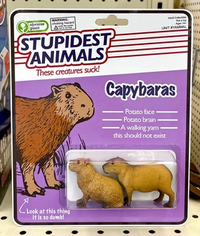 Discover & grow Stupidest Animals - Capybaras
