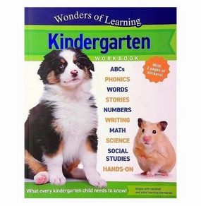 Wonders Of Learning:Kindergarten Workbook Brain boosters Exploration made fun