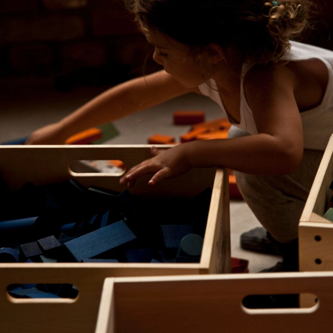 Enrichment activities Learn & grow Wooden Rainbow Blocks With Storage Tray - 54 Pieces