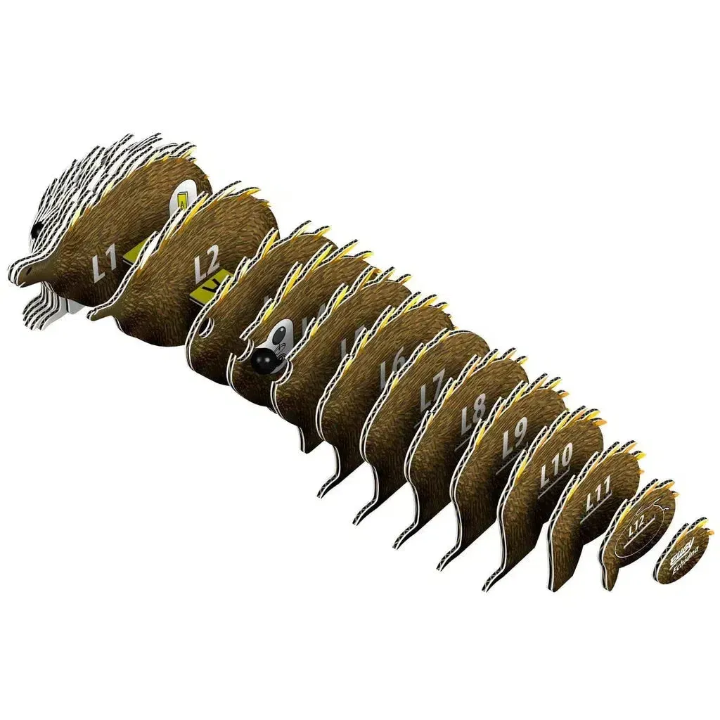 Echidna 3D Puzzle Fun that fuels growth Tiny thinkers