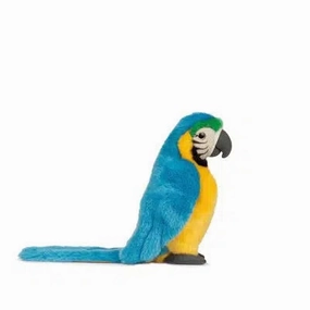 Blue Macaw Preschool minds
