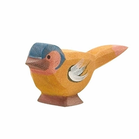Ostheimer Chaffinch Bird Fun-based learning