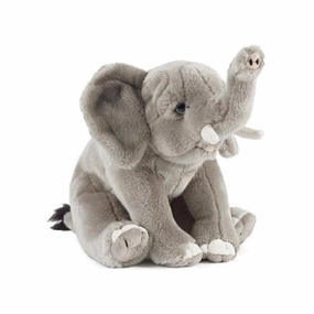 Elephant Living Nature Parent-approved learning Moments of imagination