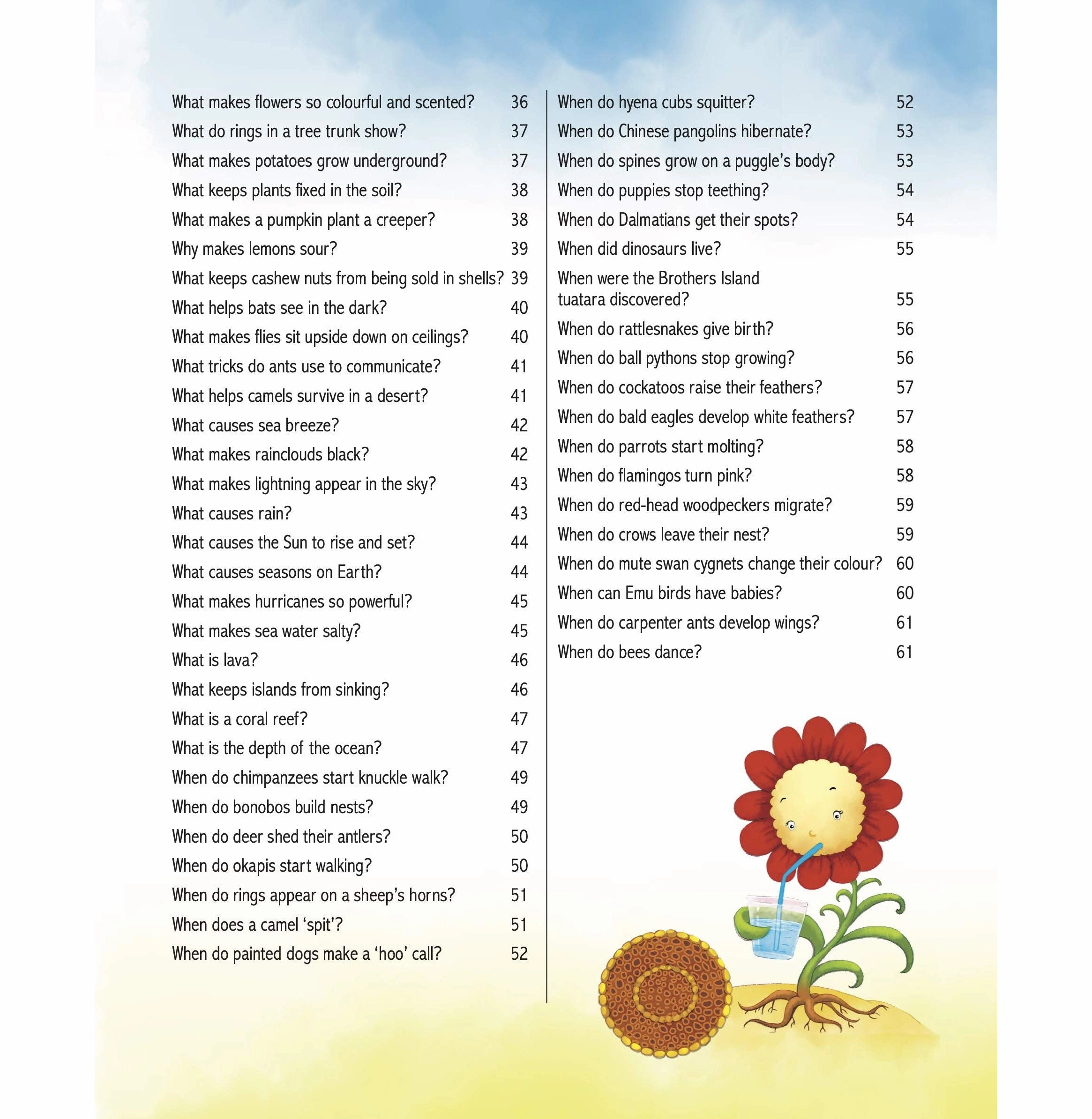 Encyclopedia: Amazing Questions & Answers Nature [Paperback] Om Books Editorial Team Mindful play Inspiring creativity
