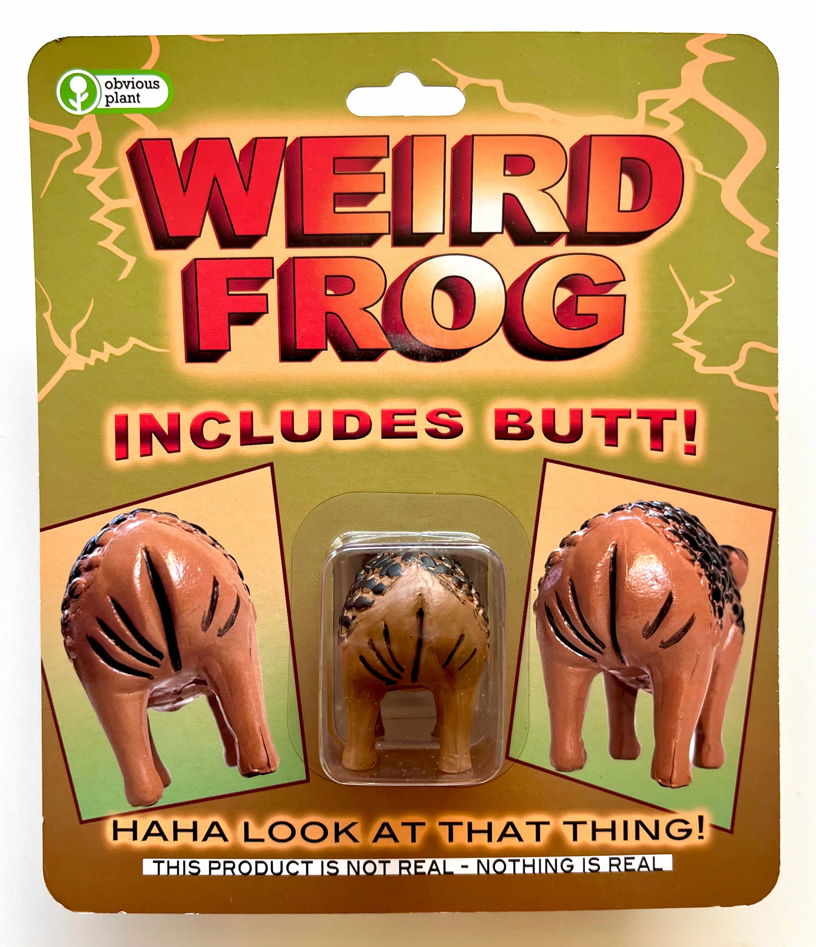 I Saw This Weird Frog Fun for curious minds
