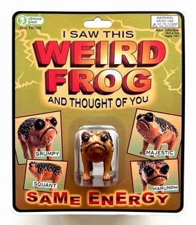 I Saw This Weird Frog Home learning tools