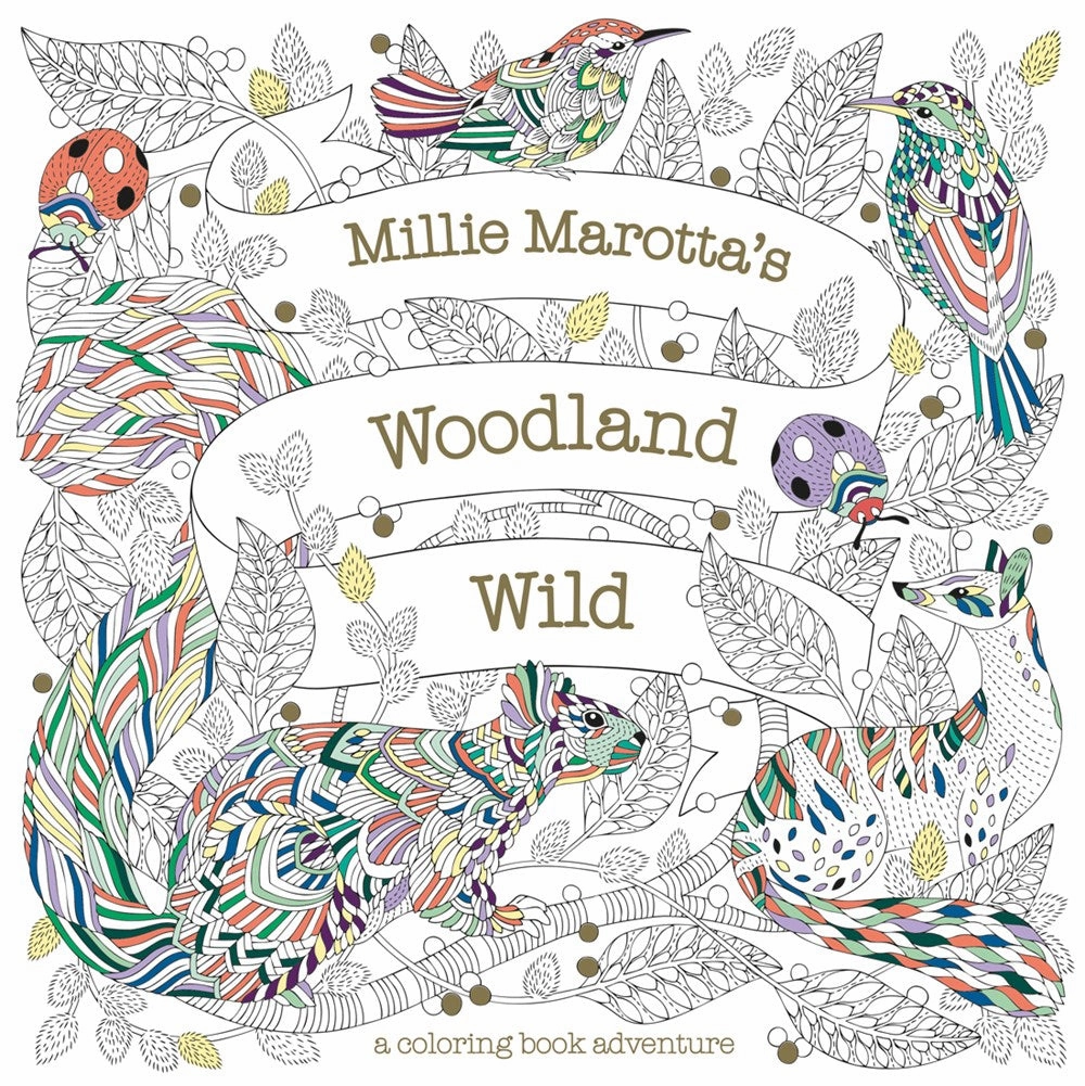 Young explorers Moments of imagination Millie Marotta'S Woodland Wild Coloring Book