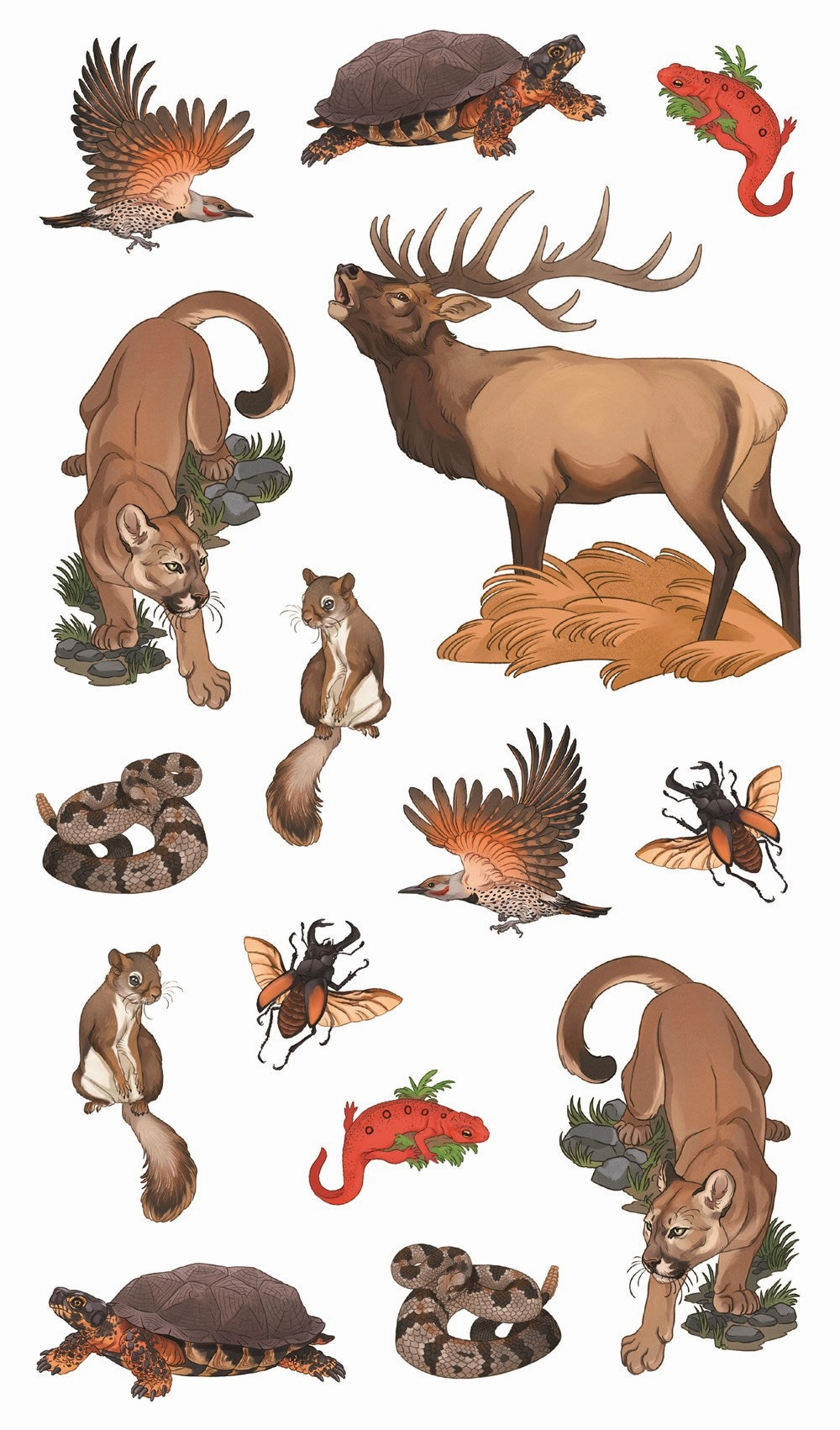 Fun-based learning Wild, Wonderful Tattoo Woodland Animals