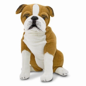 English Bulldog - Plush Holistic
