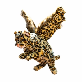 Eagard Plush Fun-based learning Brain boosters