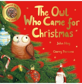Quiet play for growing minds The Owl Who Came For Christmas [Paperback] John Hay