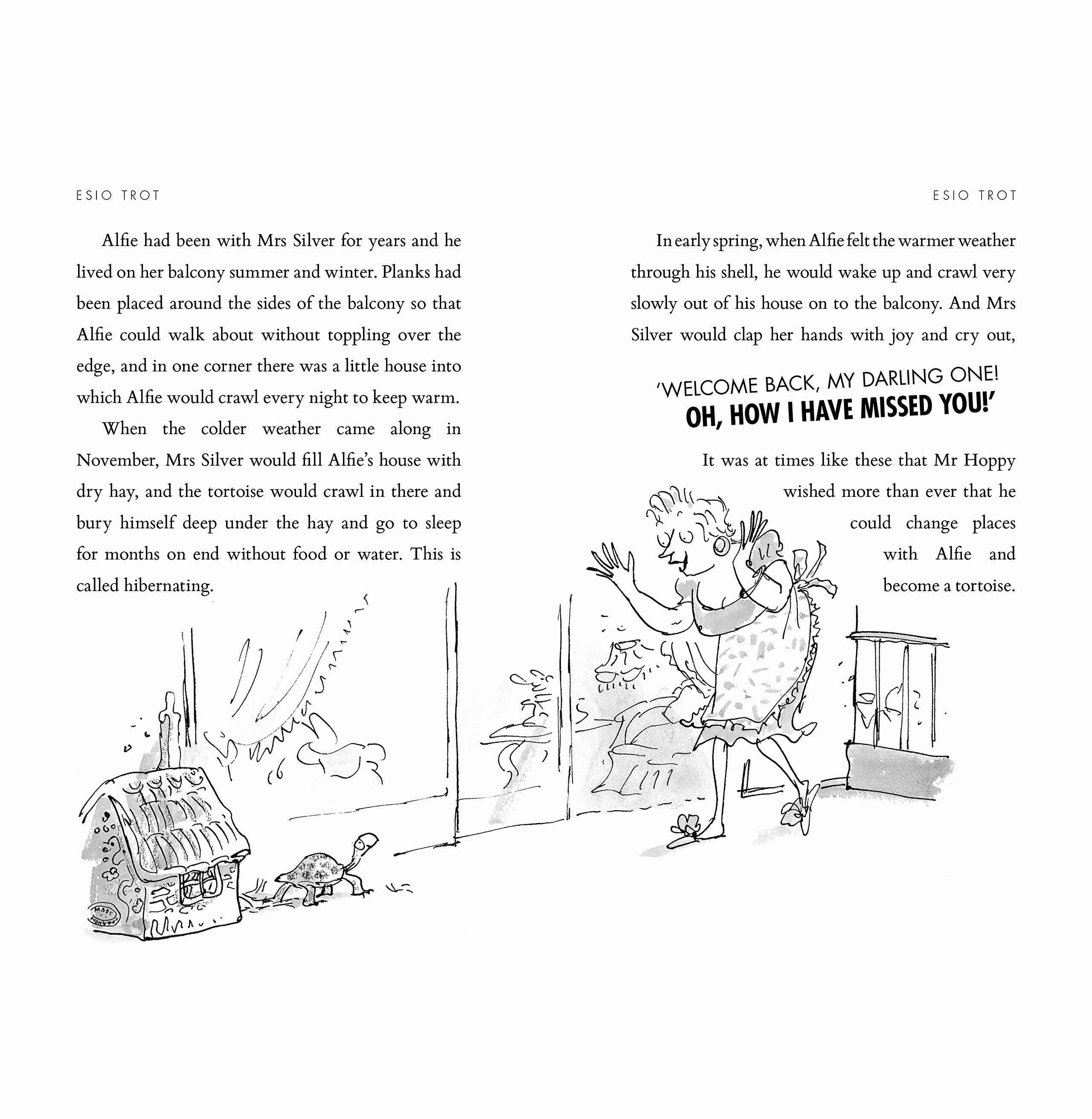 Esio Trot: By The People Who Call It Home Dahl Roald And Blake Quentin Learning tools Curious minds