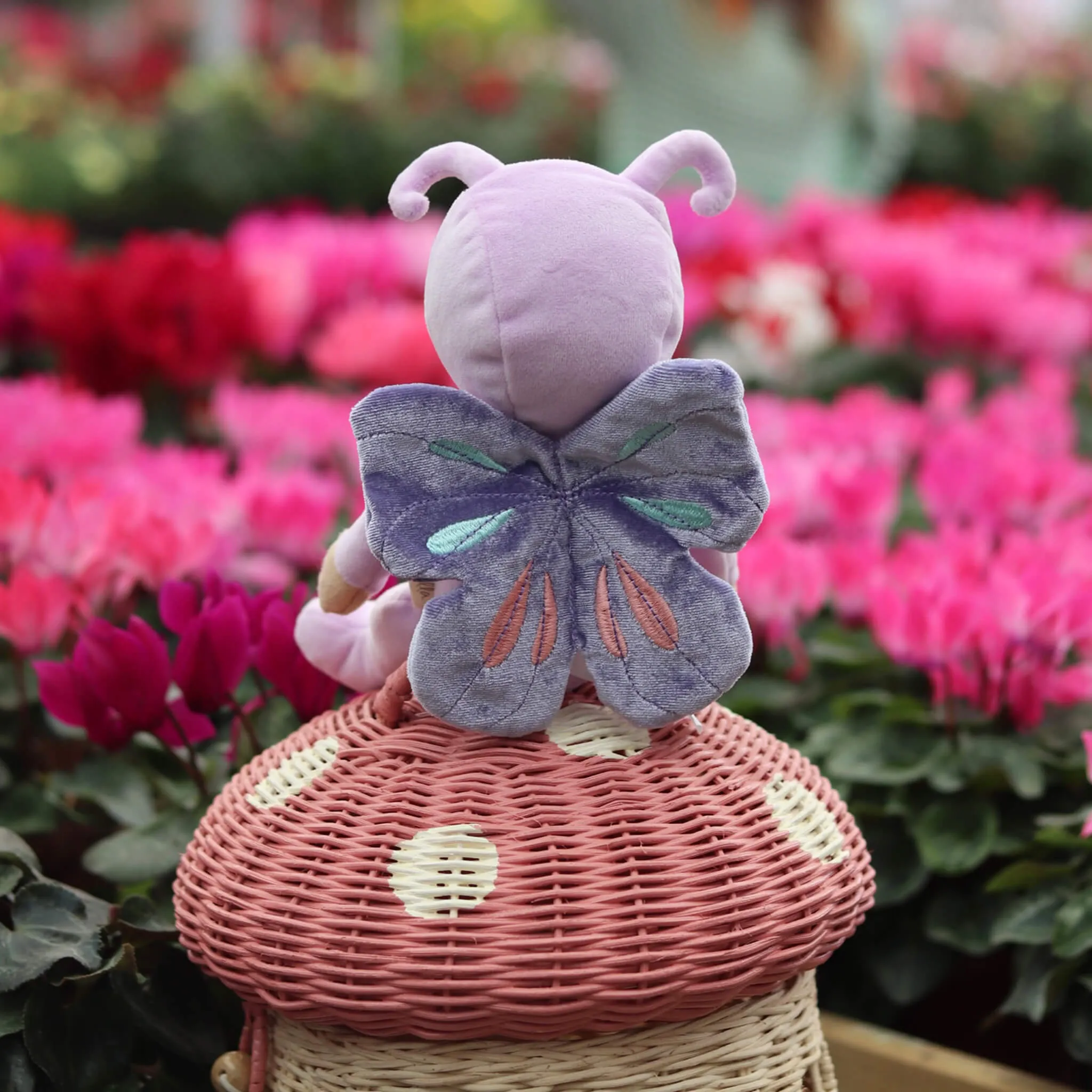 Dinky Dinkums Backyard Buddies - Betty Butterfly Little builders Active learners