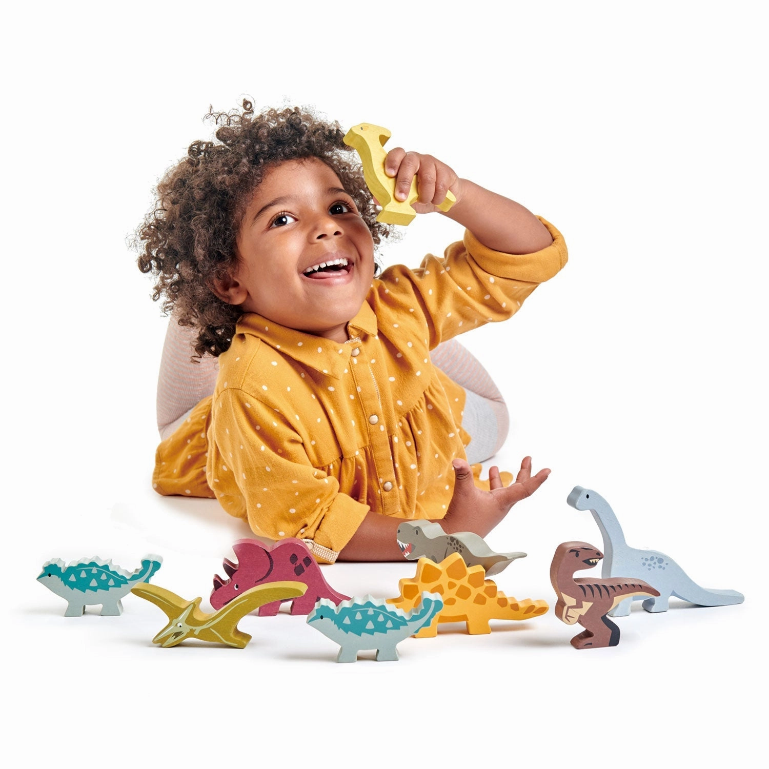 Wooden Dinosaur Figures And Display Case Happy hands