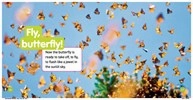 Learning fun Explore My World Nat Geo Kids: Butterflies