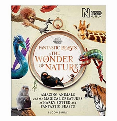 Fantastic Beasts: The Wonder Of Nature: Amazing Animals And The Magical Creatures Of Harry Potter And Fantastic Beasts Natural History Museum Creative kids
