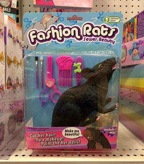 Imaginative play First explorers Fashion Rats - Prototype