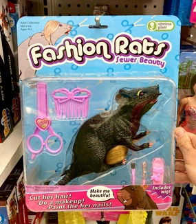 Fashion Rats Play & learn Kids essentials