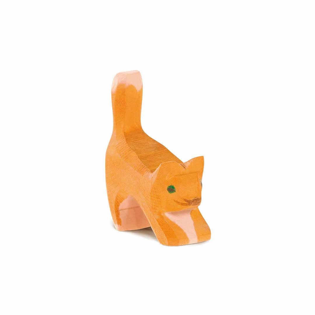 Ostheimer Small Orange Cat, Head Low Learning tools