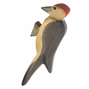 Ostheimer Woodpecker Everyday learning Smart activities for young learners