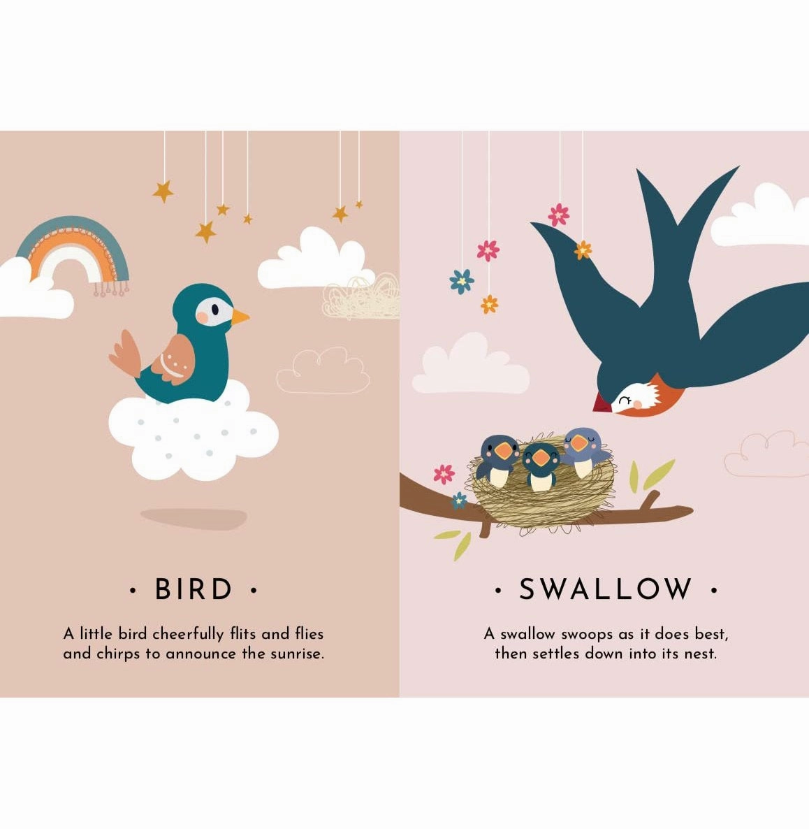 First Moments N. 3 : My First Cards. Seasons Young explorers