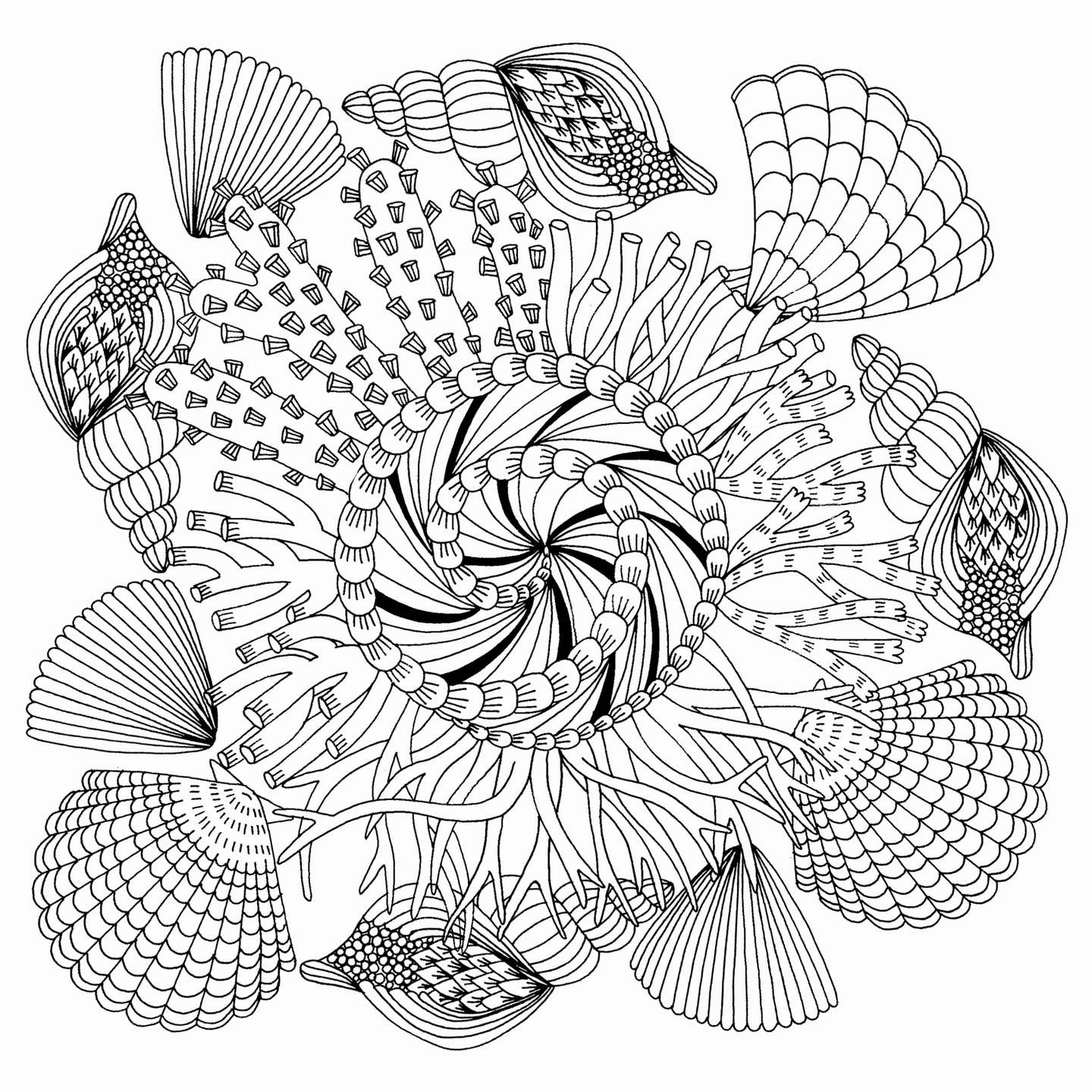 Follow Your Dreams Coloring Book Play & learn