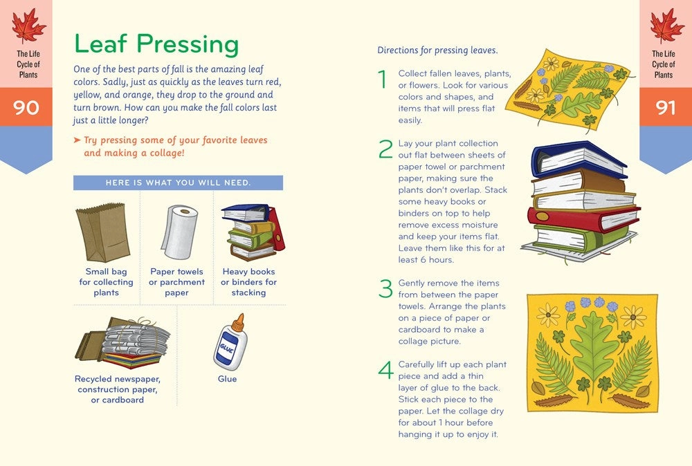 Nature Smarts Workbook 7-9 Little learners