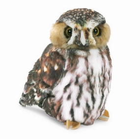 Pygmy Owl Puppet Child development Educational fun