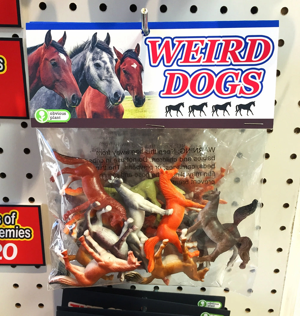 Weird Dogs Curiosity starters Preschool minds