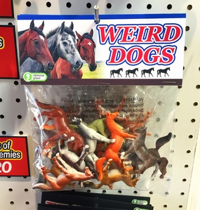 Weird Dogs Curiosity starters Preschool minds