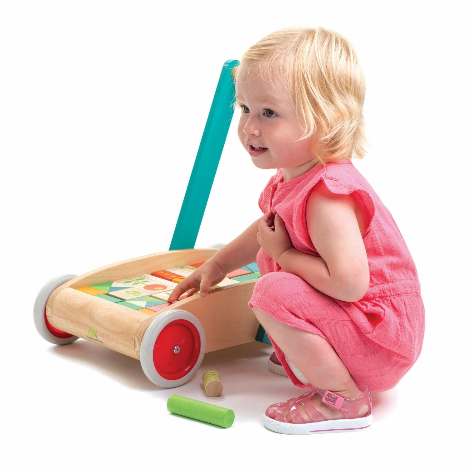 Wooden Baby Walker And Garden Blocks Set Engaging young minds Smart little ones