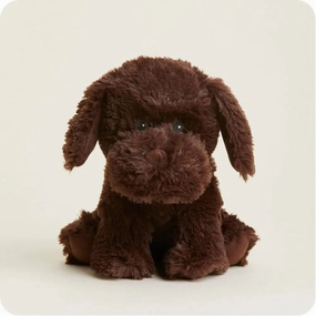 Chocolate Lab - Warmies Playful learning