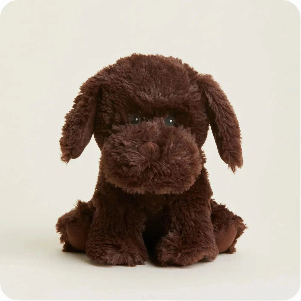 Chocolate Lab - Warmies Playful learning