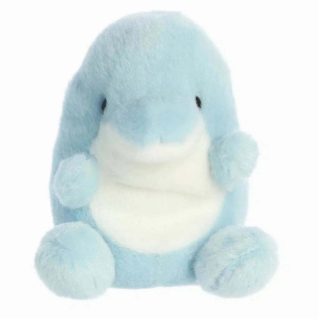 Young learners Clicks Dolphin