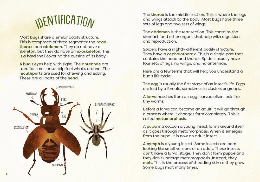 Kid'S Guide To Backyard Bugs Kid-centered learning Active learners