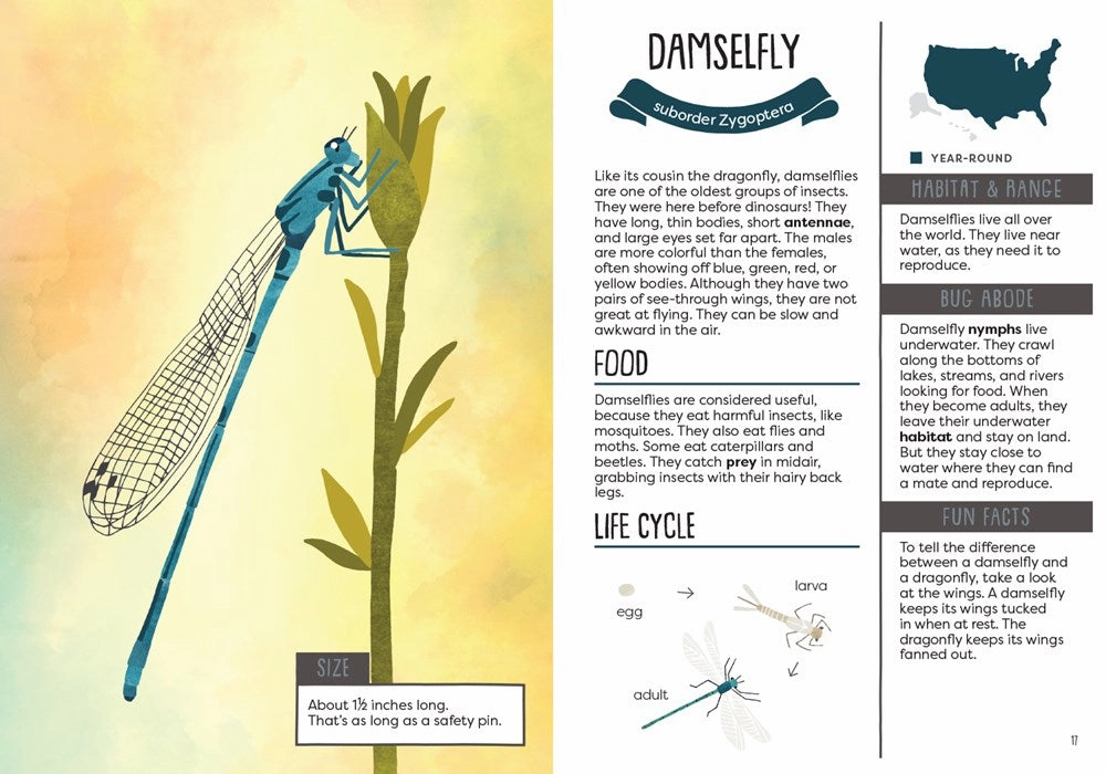 Smart & fun Young explorers Kid'S Guide To Backyard Bugs