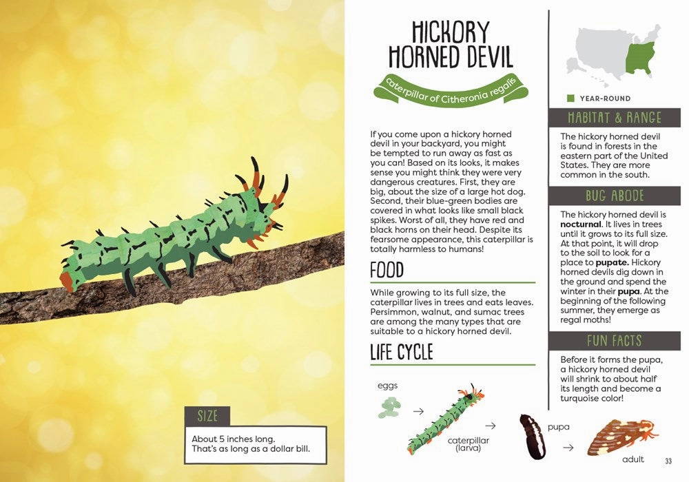 Growth tools Kid'S Guide To Backyard Bugs