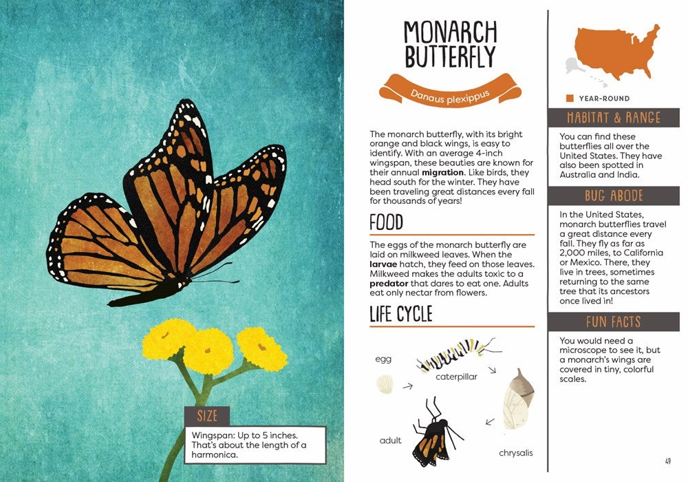 Hands-on discovery Kid'S Guide To Backyard Bugs