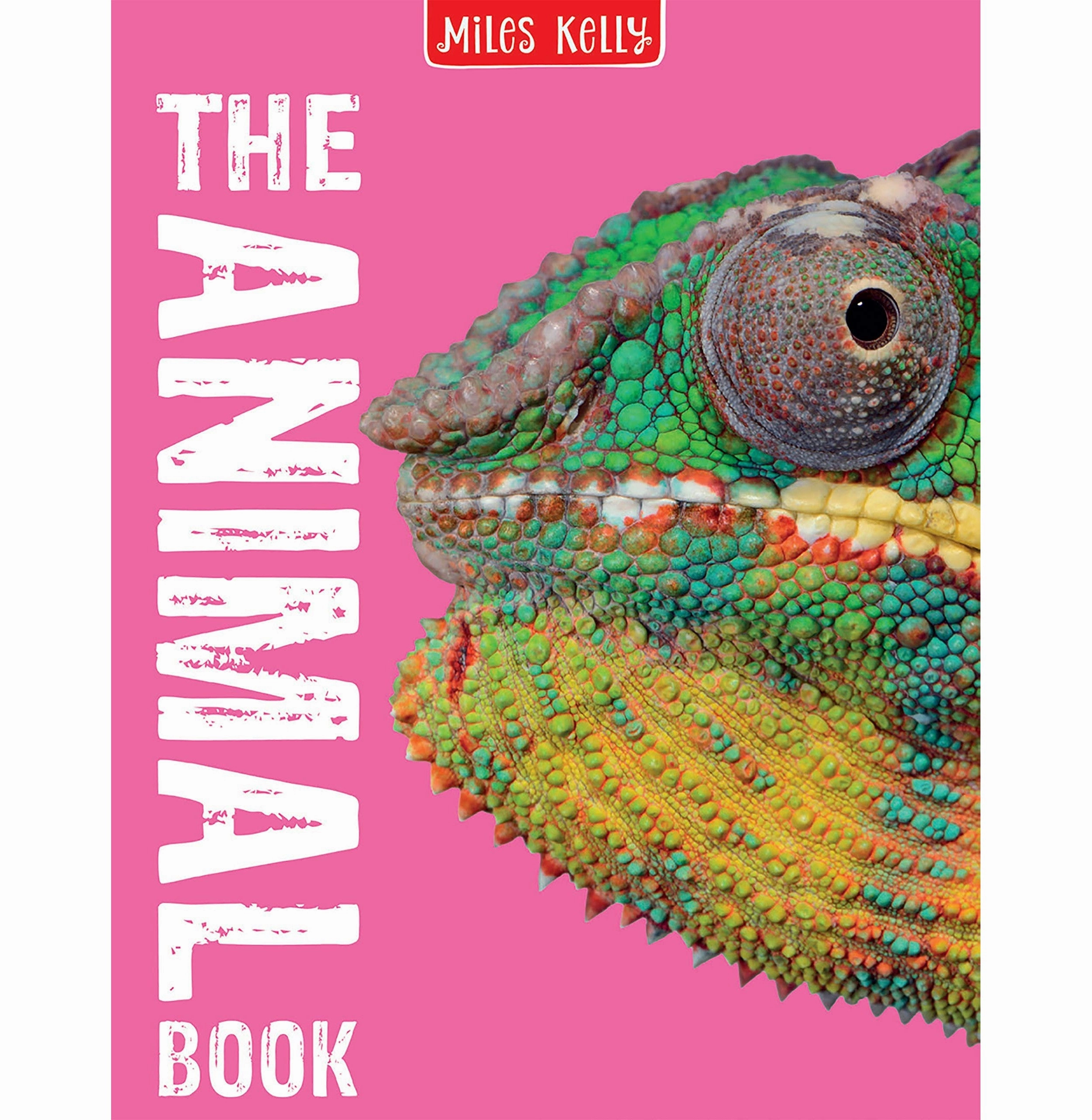 The Animal Book Bedoyere Camilla De La Smart kids gear