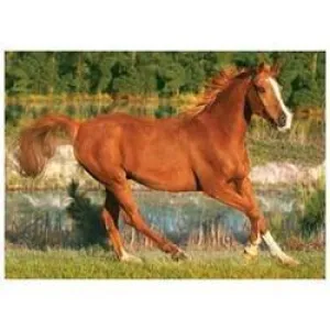 Young explorers Mindful play Galloping Horse