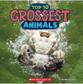 Grossest Animals (Wild World: Top10) Happy hands Early learning