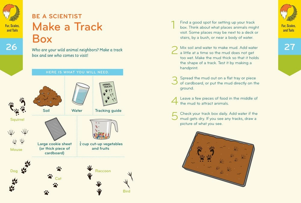 Nature Smarts Workbook 4-6 Busy kids