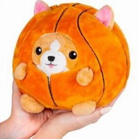 Early discovery Basketball Undercover Corgi