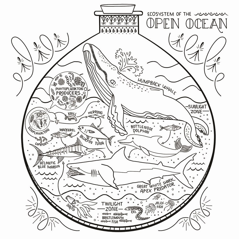 The Wondrous Workings Of Science And Nature Coloring Book Little adventures Play-based education