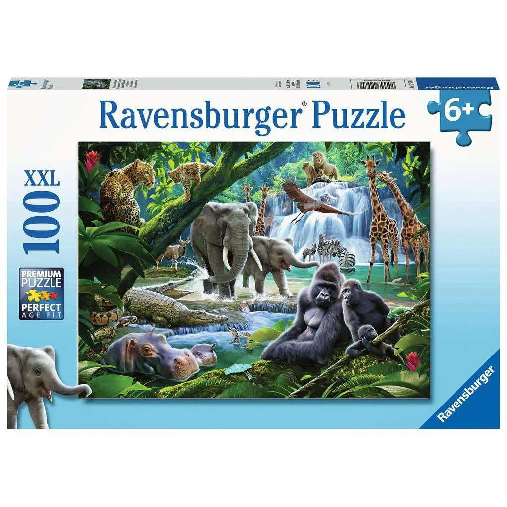 Curiosity starters Jungle Families Xxl