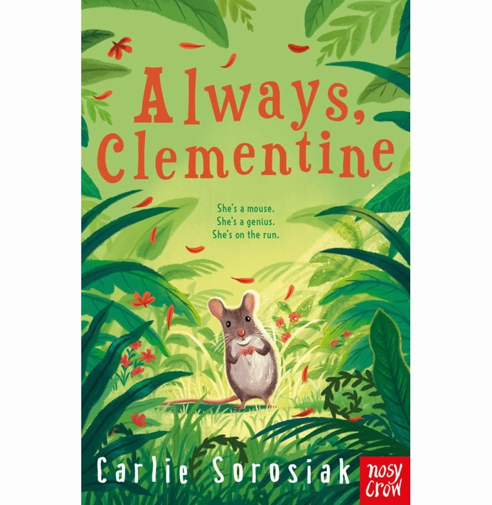 Always Clementine: A Desperate Plea From A Hidden World Sorosiak Carlie Kid-focused experiences