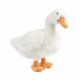 Imaginative play Fun-based learning Duck