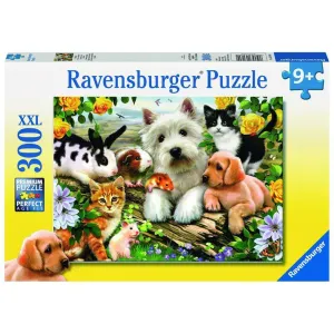 Curious minds Brain boosters Happy Animal Buddies