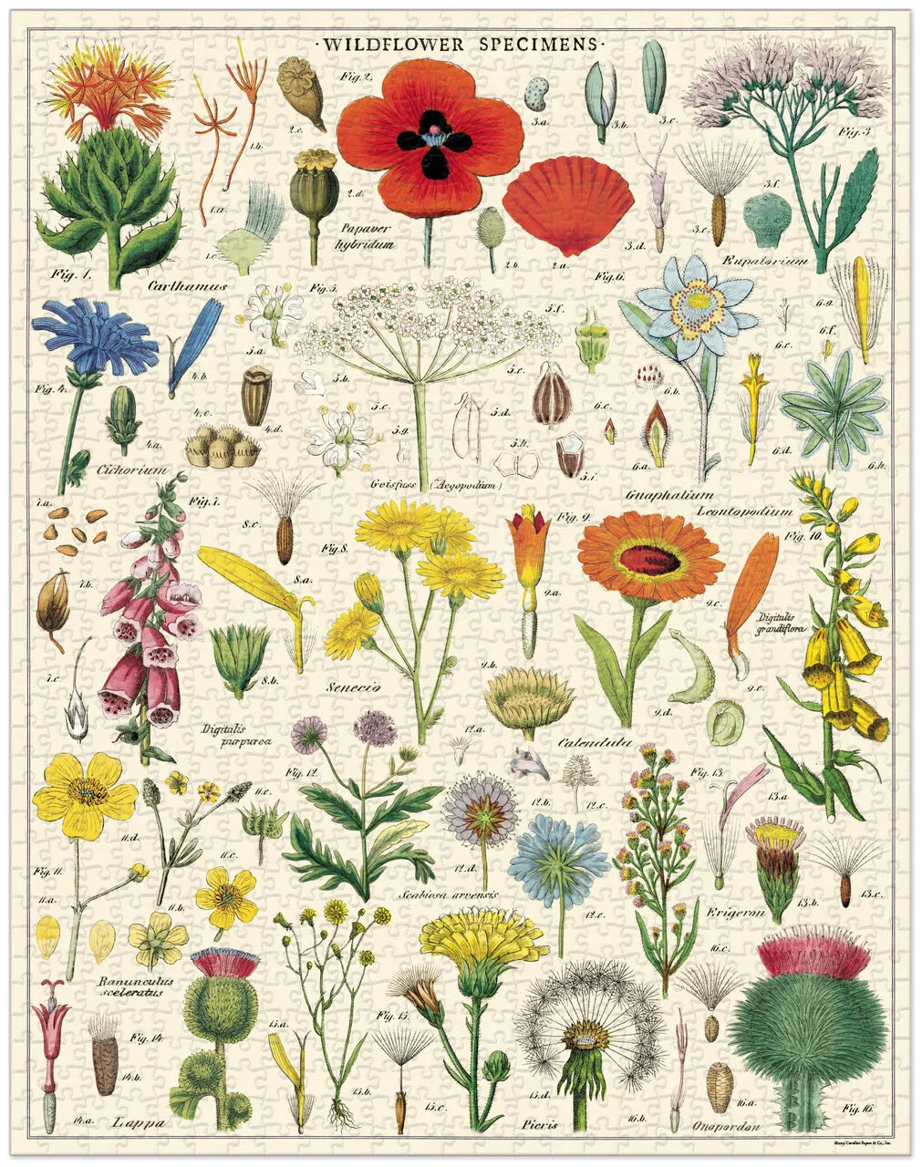 Cavallini & Co. Wildflowers 1000 Piece Puzzle Kid-centered learning Learning through play